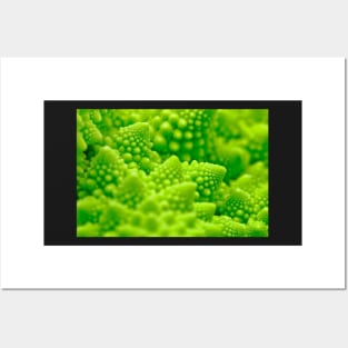 Macro Romanesco Broccoli Posters and Art